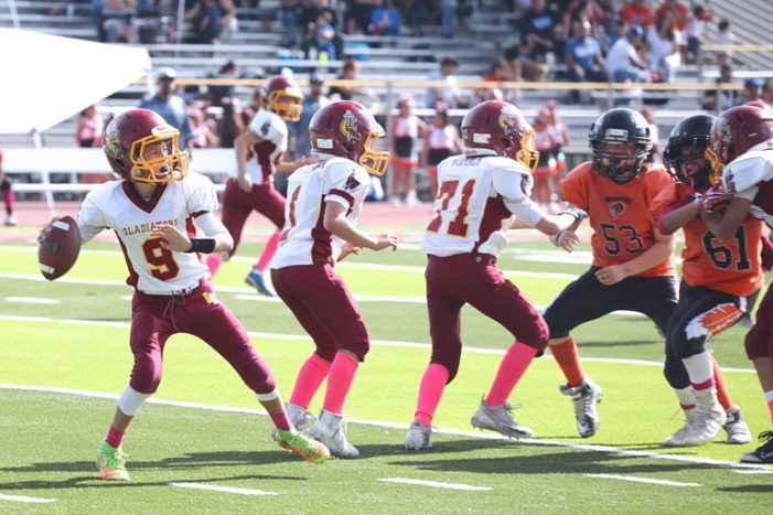 Gladiators Withdraw from 2019 Youth Football Season