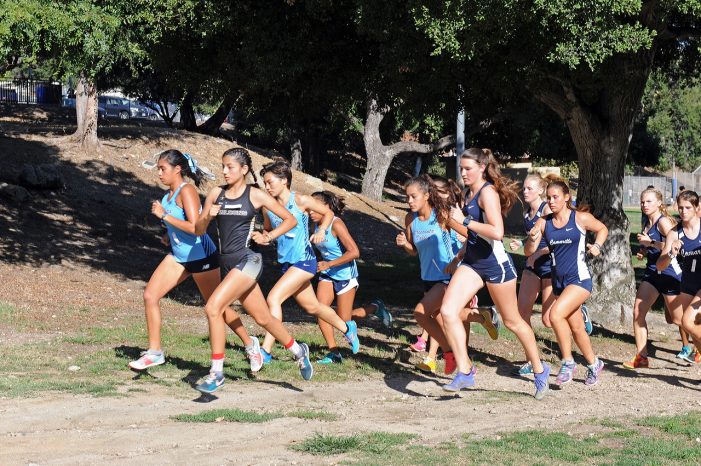 Falcons Boast Strong Early Cross Country Marks