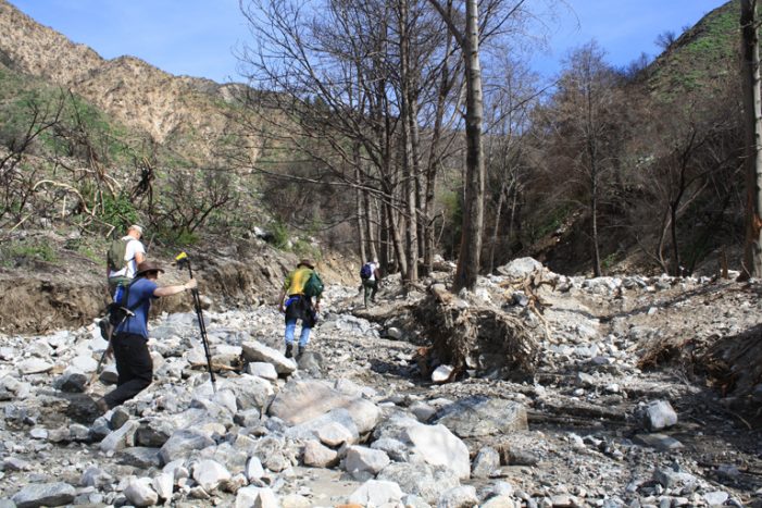 A Reporter’s Perspective