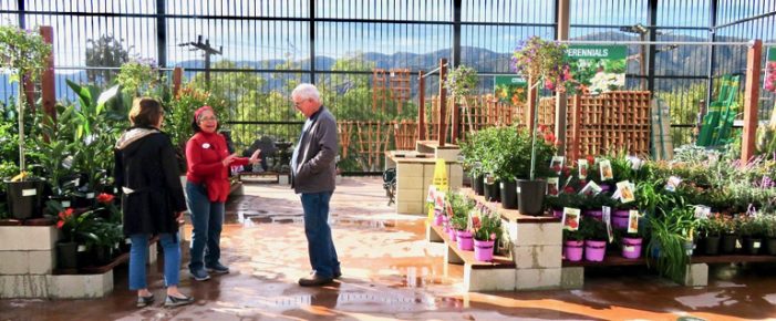 Ace Hardware Opens Its Doors