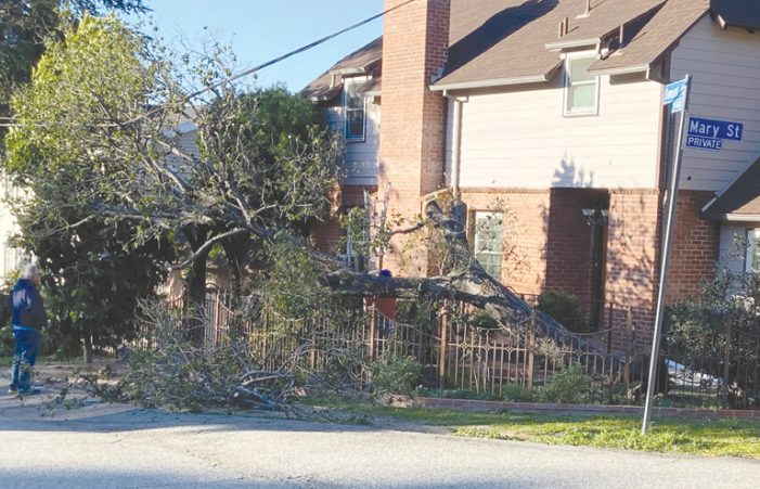 Winds Whipped – and Ripped – Through Crescenta Valley