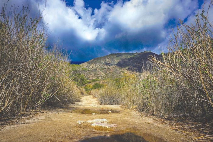 March Brings Much-Needed Wet Weather