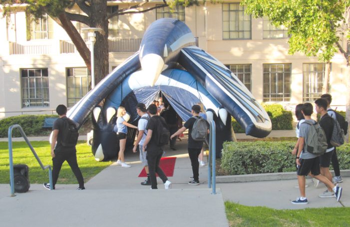 The Community and COVID-19