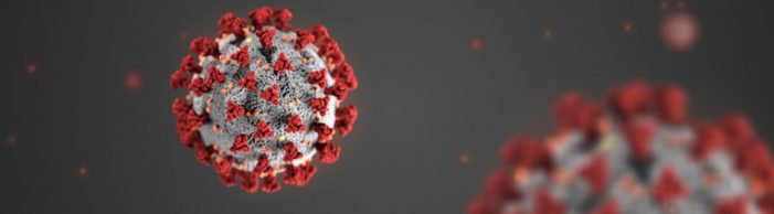 Coronavirus Fears, or How We Should Have Been Living All Along