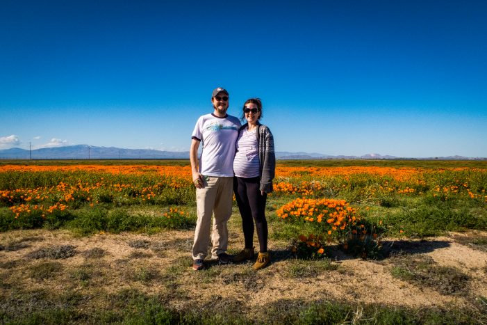 What to Expect When You’re Expecting in a COVID-19 World