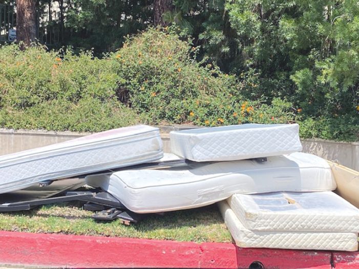More Than an Eyesore, Illegal Dumping Can Cause Injury