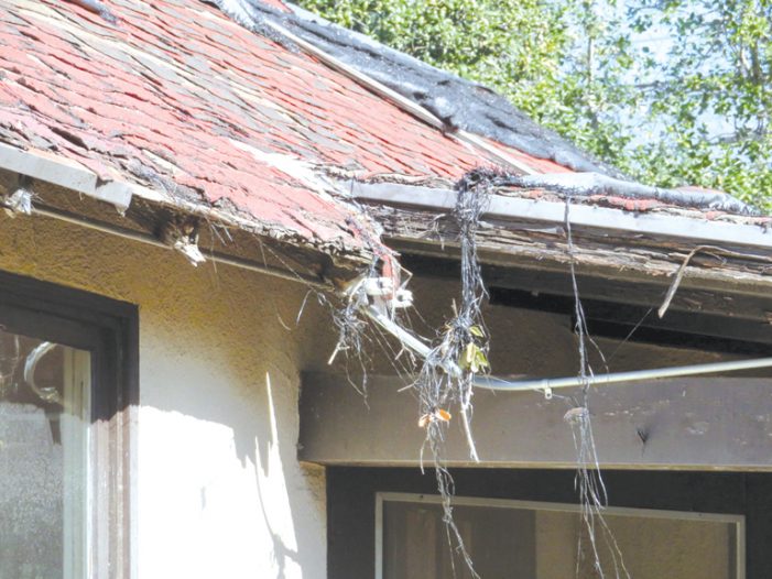 The Uncertain Future of the Rockhaven Property