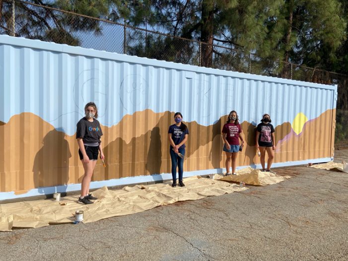 A Silver Lining on Mountain Avenue Storage Bins