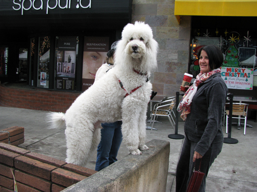 Farewell to the Prince of Honolulu