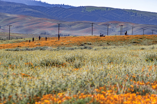 Year in Review 2020: Travel & Leisure