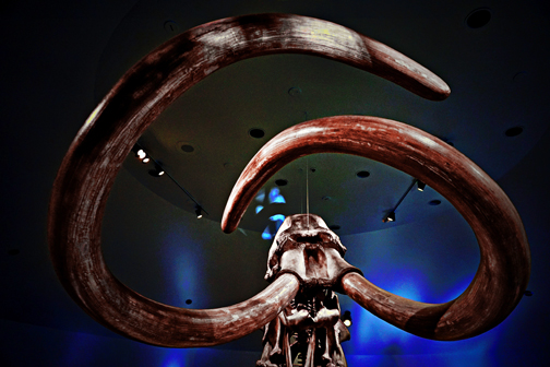 Visitors Invited to a ‘Sedimental’ Journey at La Brea Tar Pits