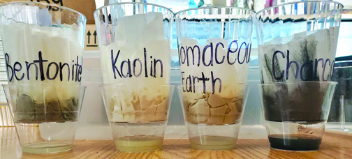 Academy of Science and Medicine Students Earn Top Marks