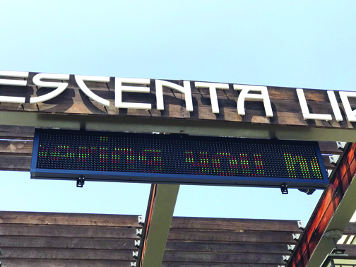 Poems Displayed at La Crescenta Library