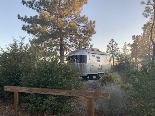 Good Morning, Forest Friends