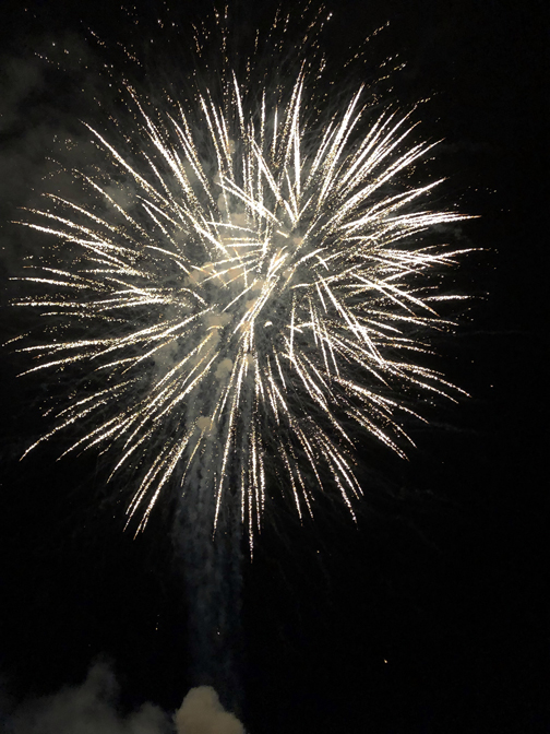 Night of Celebration Seen – and Heard