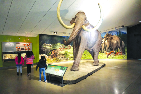 Museums and Elected Officials Push for Climate Resiliency Funds