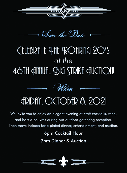 Auction Benefits Scouts