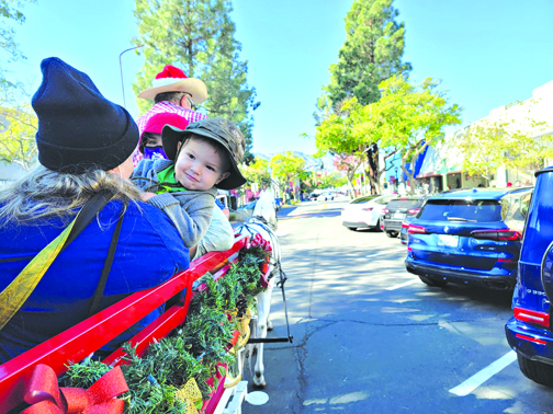 Fun for Holiday Shoppers in the Montrose Shopping Park