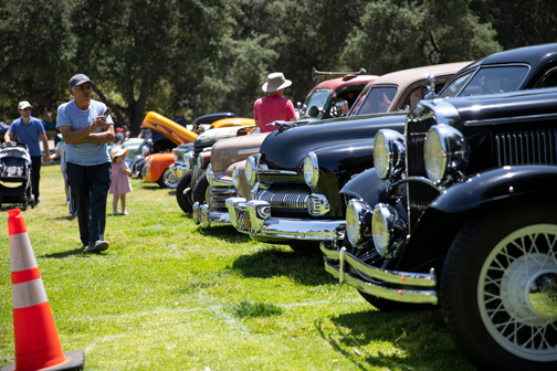 Thousands Turn Out for Local Events