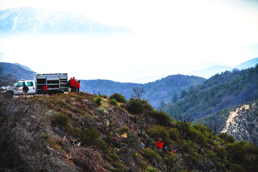 MSAR Hosting Milestone Anniversary Celebration