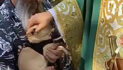 Blessing of the Animals at St. Luke’s