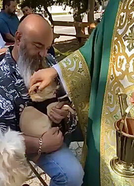Blessing of the Animals at St. Luke’s