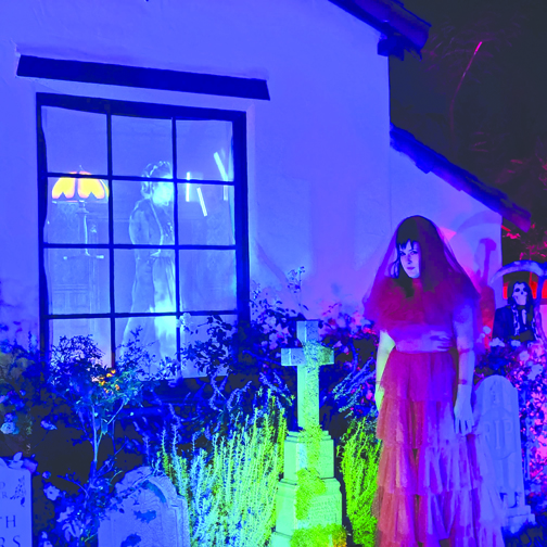 And the Winners are…