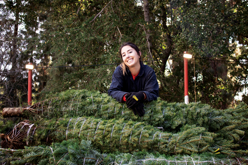 Annual Tree Lot Ends with a Strong Finish at the Y