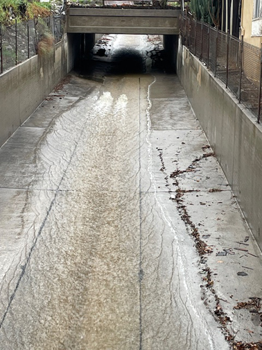 WEATHER WATCH <<< TAKING A LOOK OUTSIDE OUR WINDOW