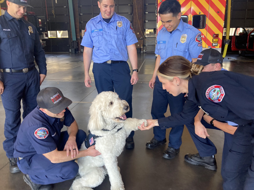 Cooper – the Emotional Support Dog of Fire Station 21