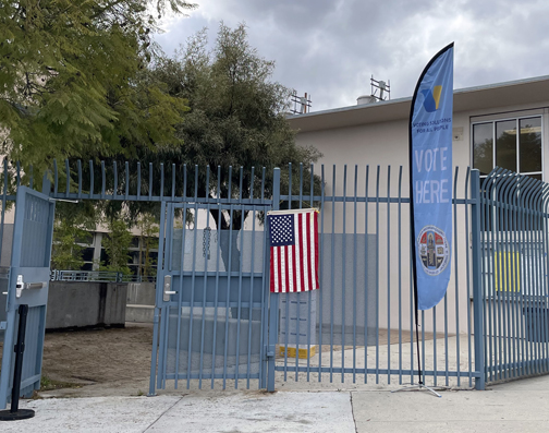 Election 2024: Initial Results are In