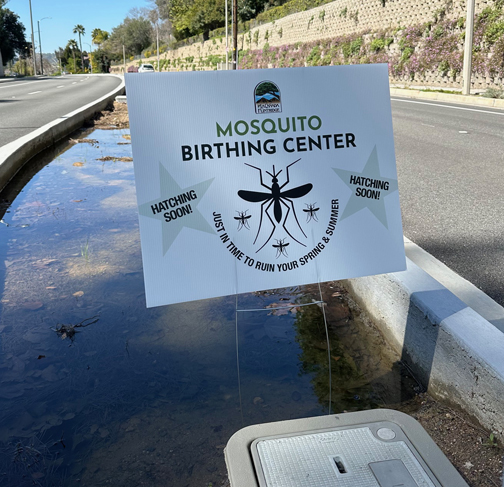 Mosquito Concerns Surround Local Medians