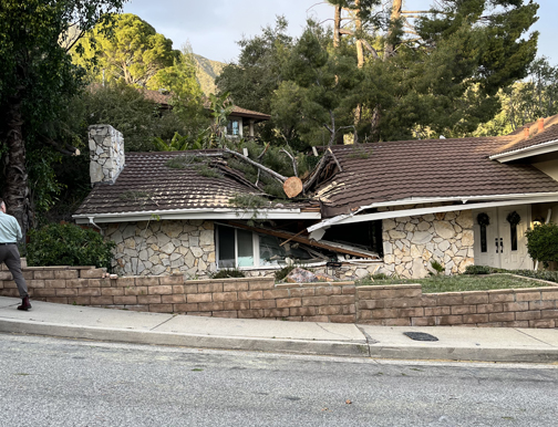 Wind Event Downs Trees, Interrupts Power