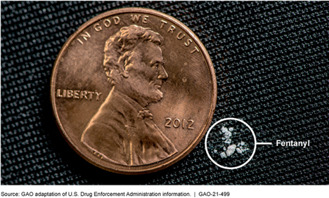 Fentanyl and the Developing Adolescent Brain