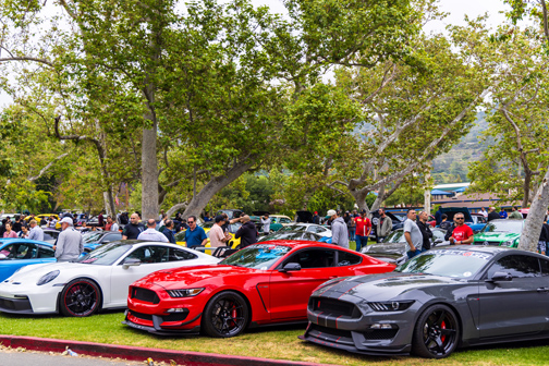 Rotary Club Celebrates Success of 7th Annual Car Show