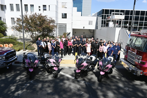 GPD, GFD Turn Pink