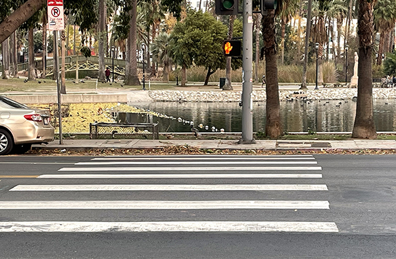 New Laws for People to Learn