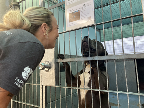 Pasadena Humane Gets Loving Attention from Eaton Fire Affected Communities