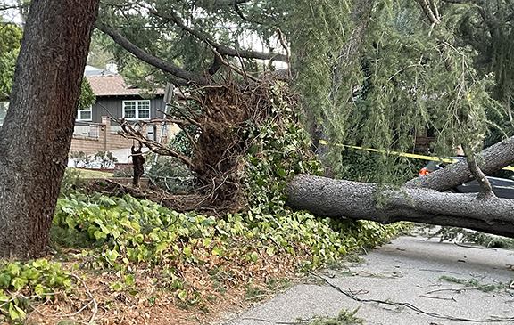 Wind-driven Fires Darken Local Skies