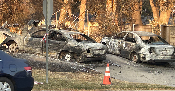 NEWS FROM THE DESK OF THE PUBLISHER <<< ROBIN GOLDSWORTHY