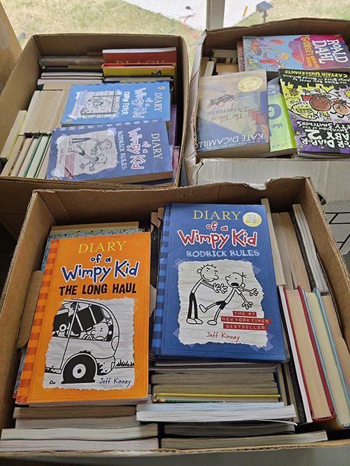 Helping Eaton Fire Locations Rebuild with Little Free Libraries