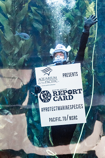 How Are Our Ocean Neighbors Doing? AOP’s Report Card Tells All