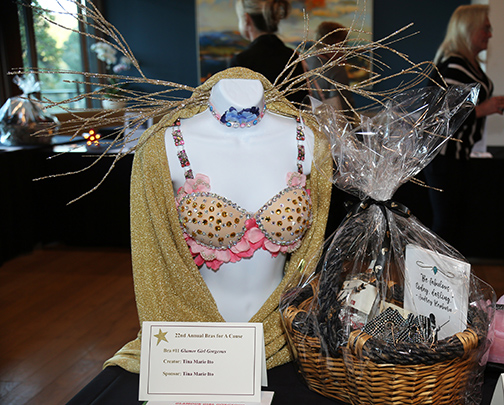 Soroptimist International Takes Bras for a Cause to Hollywood