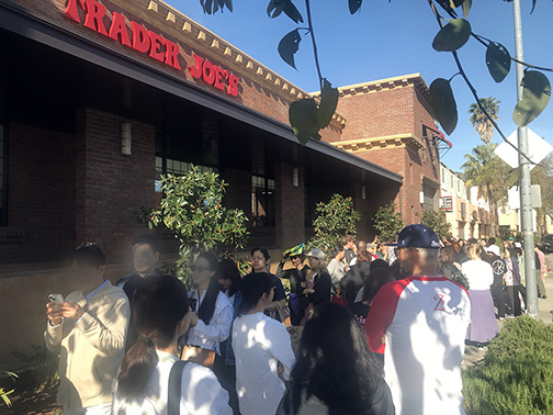 Big Lines for Little Totes