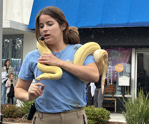 And That’s A Wrap! The Crescenta Valley Offers Plenty Over Three Weekends