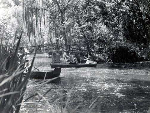 VIEW OF THE VERDUGOS <<< CRAIG DURST