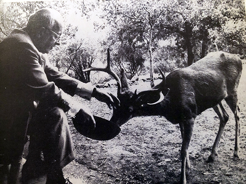 VIEW OF THE VERDUGOS <<< CRAIG DURST