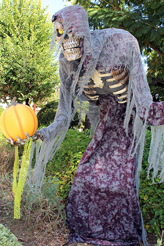 Halloween in the Foothills