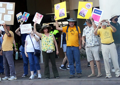 Thousands Attend Local No Kings Rally