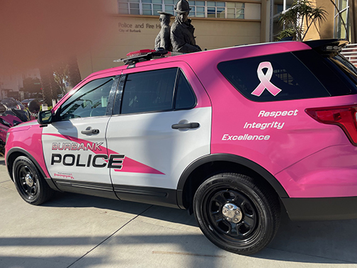 Burbank Goes Pink